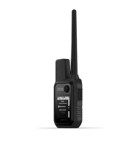 Buy zoomimg online in New Zealand.
