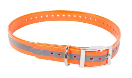 Buy Outdoor Outfitters Blaze Orange Dog Collar: 600mm in NZ. 
