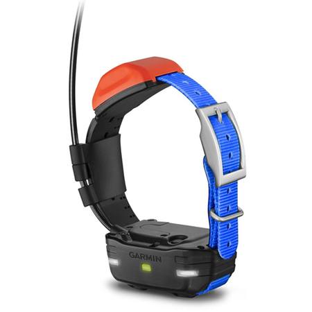 Buy Garmin Mini T5 GPS Collar in NZ. 