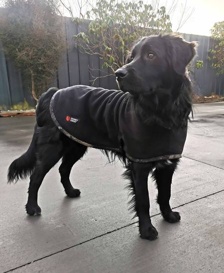 Buy Stoney Creek Jones Dog Fleece Coat Black/Tuatara Urban Camo in NZ. 