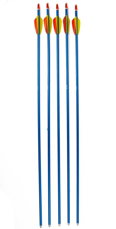 Buy Ek Blue Aluminium Arrows 29" 5 Pack in NZ. 