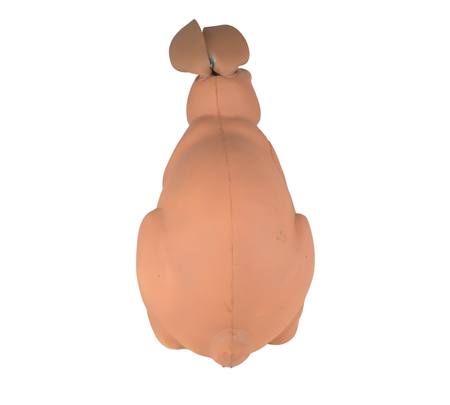 Buy zoomimg online in New Zealand.