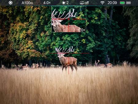 Buy zoomimg online in New Zealand.