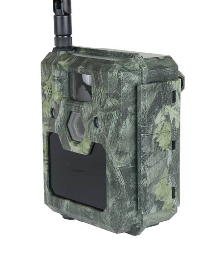 Buy zoomimg online in New Zealand.
