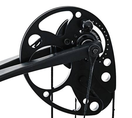 Buy zoomimg online in New Zealand.