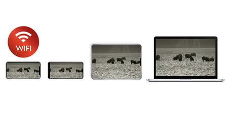Buy zoomimg online in New Zealand.