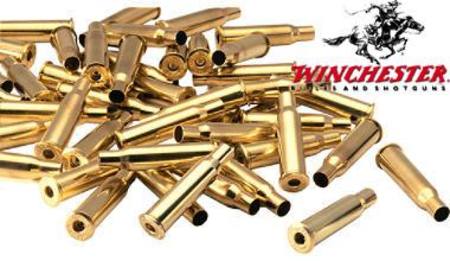 Buy Winchester Brass 38 Super Auto x100 in NZ. 
