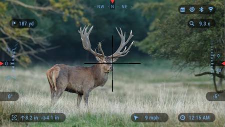 Buy zoomimg online in New Zealand.