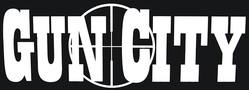 Buy Gun City Sticker: Target Logo - 21cmx10cm in NZ New Zealand.