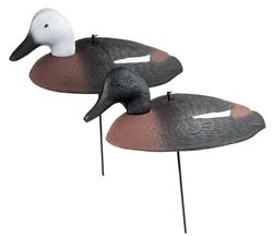 Buy Outdoor Outfitters Paradise Decoy Foam Shells with Heavy Stakes: 12-Pack in NZ New Zealand.