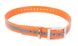 Buy Outdoor Outfitters Blaze Orange Dog Collar: 600mm in NZ New Zealand.