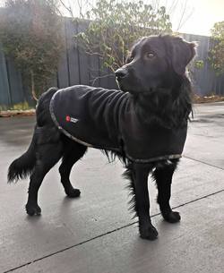 Buy Stoney Creek Jones Dog Fleece Coat Black/Tuatara Urban Camo in NZ New Zealand.