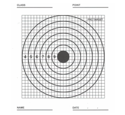 Buy Fun Target Paper Target 100x 13CM X 13CM in NZ New Zealand.