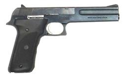 Buy 22 Smith & Wesson 422 Blued Synthetic in NZ New Zealand.