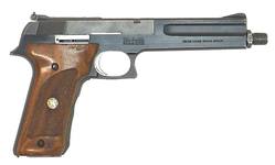 Buy 22 Smith & Wesson 422 Blued Wood in NZ New Zealand.