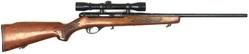 Buy 22 Stirling 20 Blued Wood in NZ New Zealand.