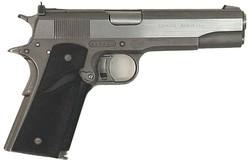 Buy 45-ACP AMT Hardballer/1911 Stainless Synthetic in NZ New Zealand.