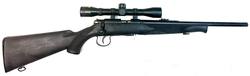 Buy 22 Outdoor Arms JW15 Blued Synthetic 16" Threaded in NZ New Zealand.