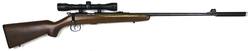 Buy 22 Norinco JW-15A Blued Wood 23" with 4x32 Scope & Silencer in NZ New Zealand.
