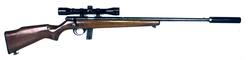 Buy 22 Stirling P14 Blued Wood 21" with Scope & Silencer in NZ New Zealand.