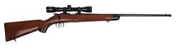 Buy 22 LR Norinco JW-15A Blued/Wood with Scope Threaded in NZ New Zealand.