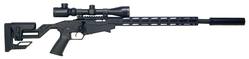 Buy 22-Mag Ruger Precision Blued Synthetic with Scope & Silencer in NZ New Zealand.