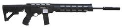 Buy 22 Ruger AR556EX Blued/Synthetic with Silencer in NZ New Zealand.