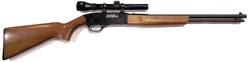 Buy 22 Winchester 190 Blued Wood with Scope in NZ New Zealand.