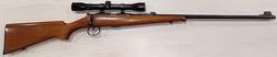 Buy 22 Brno 2 Blued Wood 24" with Scope in NZ New Zealand.