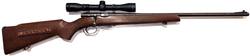 Buy 22 Stirling 110 Blued Wood 22" with Scope in NZ New Zealand.