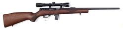 Buy 22 Stirling 20P Wood 20" with 4x32 Scope in NZ New Zealand.