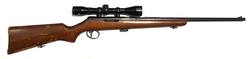 Buy 22 BSA Armatic 20" with Scope 10+1 in NZ New Zealand.