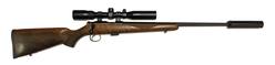 Buy 22 LR C&R Certus Blued Wood 20" with Scope & Silencer in NZ New Zealand.