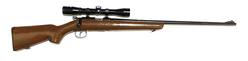 Buy 22 LR Norinco JW-15A Blued Wood 24" with Scope in NZ New Zealand.