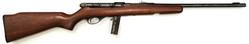 Buy 22 Stirling Model 20 Blued Wood in NZ New Zealand.