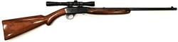 Buy 22 Browning SA-22 Blued Wood in NZ New Zealand.